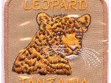 6342-105 Leopard Tanzania