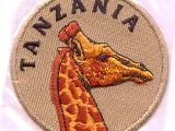 6342-100 Giraffe Tanzania