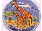 6342-101 Giraffe Tanzania Kilimanjaro