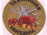 6342-109 Tarangire Tanzania