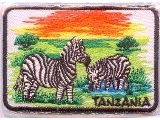 6342-110 Zebra Tanzania