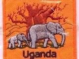 6342-201 Uganda Elephant Baobab
