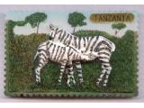9005-006TZ Zebra