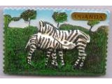 9005-006 Zebra