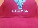 Elephant_Kenya