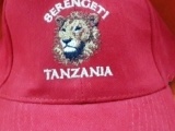Lion_Serengeti_Tanzania