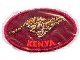 6342-016 Cheetah Kenya