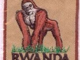 6342-301 Rwanda Gorilla