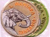 6342-104 L.Manyara Tanzania