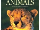 10050 J.Scott - Safari Guide to East African Animals