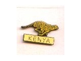 6400-001 Cheetah Kenya