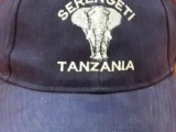 Elephant_Serengeti_Tanzania