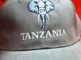 Elephant_Head_Tanzania