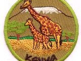 6342-003 Giraffe Kenya Kilimanjaro